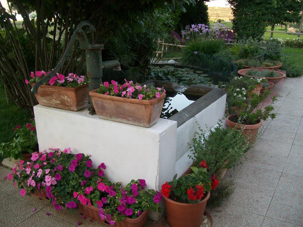 B&B La Casa Bianca Fossacesia Esterno foto
